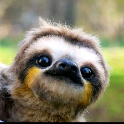 vdonux's profile picture. 🇱🇻