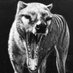 ๐ฟ๐๐๐ฟ๐๐๐๐๐๐๐๐VอoอcอaอNอoอiอdอ๐
ฉ๐ฑ๐ง๐ต๐ธ (@baizebub) Twitter profile photo ๐ฟ๐๐๐ฟ๐๐๐๐๐๐๐๐VอoอcอaอNอoอiอdอ๐
ฉ๐ฑ๐ง๐ต๐ธ (@baizebub) Twitter profile photo