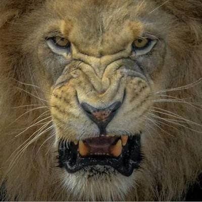 1001SPARTANS's profile picture. 11:11