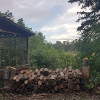 Marc Kuly (@kulymarc) 's Twitter Profile