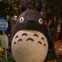 juun$MGT🌕 (@junhyun90) 's Twitter Profile