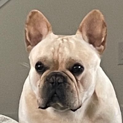 TheGersh22's profile picture. Humor