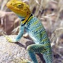 Barb Webb - @BarbCNHA - Twitter