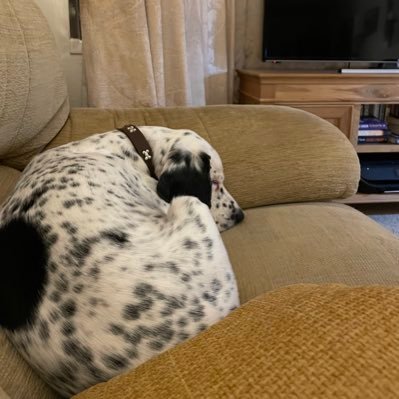 Tonydyble2's profile picture. 