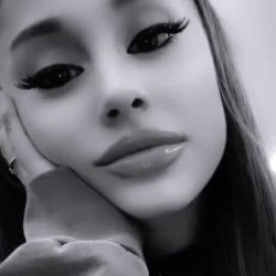 giolovesari's profile picture. nova fan ac✨ (sdv arianators) ela/dela🤍🏳️‍🌈