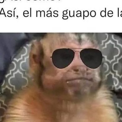 Leonard31350850's profile picture. Cosas interesantes.