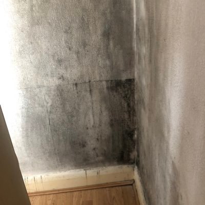 DEATH OF MOTHER AT PROPERTY - “RESPIRATORY FAILURE” - UNINSULATED WALLS - EXTREMELY COLD - BLACK MOULD - WET WALLS - DAMP - BREATHING PROBLEMS -IGNORED 6 YEARS!