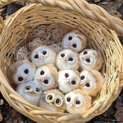 closerpretty's profile picture. 18✍️
I want to see everyone smile and be happy😊