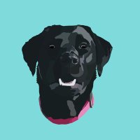 Chris Haider (@chrishaider6) 's Twitter Profile