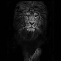 catatau (@menorbom_02) 's Twitter Profile