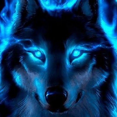 CanisLupus1987's profile picture. Politics,Economics, Mimics,Yörüks