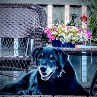 Bill Whalen (@whalen1975) 's Twitter Profile Photo Bill Whalen (@whalen1975) 's Twitter Profile Photo