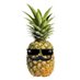 MR.PINEAPPLE (@AjJwala) Twitter profile photo