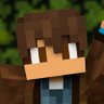 carlryds's profile picture. 🟩 Minecraft Content Creator  🟪 Digital Producer for @WitheringEffect  🟦 Member of Let’s Create Together  🟪 Twitch Affiliate (CarlRyds Gaming)