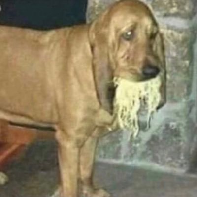 Prittyoungthang's profile picture. 