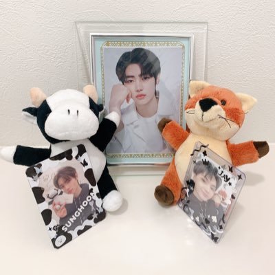 20↑ 平成1桁ガチババア🌈🌈   💗好き💗韓国→ENHYPEN(👑ソンフン💪🏻🐧 ジェイ🍯) セブチ(スングァン🍊) サンリオ(キティ🐱ポチャッコ🐶) 子育て中→6y(ASD,ADHD)👦🏻＋2y👦🏻 リユースハイム当選✌🏻🏠