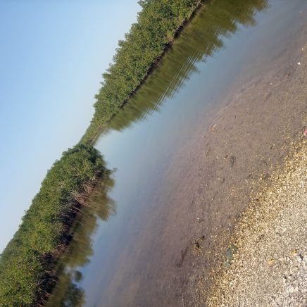 Omz62311554's profile picture. Godfirst🙏🙏🕊🕊