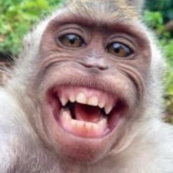 EMPRO_Research's profile picture. Fictional contrarian character living in an alternate universe where everything is upside down. I do not follow your leader. I am not a financial advisor.FAFO