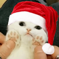 Cattsさんのプロフィール画像