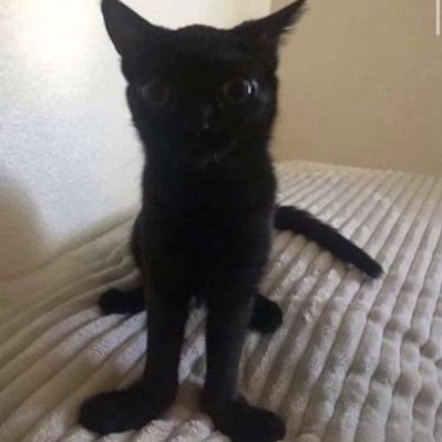 eden_lewerke's profile picture. 