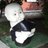 arima_tw