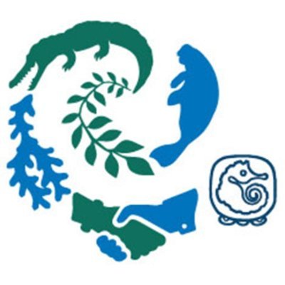 Non Profit Organization based in Quintana Roo, México. Creating synergies for earth. - https://t.co/KwOvng2OKT - info@https://t.co/KwOvng2OKT
