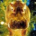 Moon Hippo (@moon_hippo) Twitter profile photo Moon Hippo (@moon_hippo) Twitter profile photo