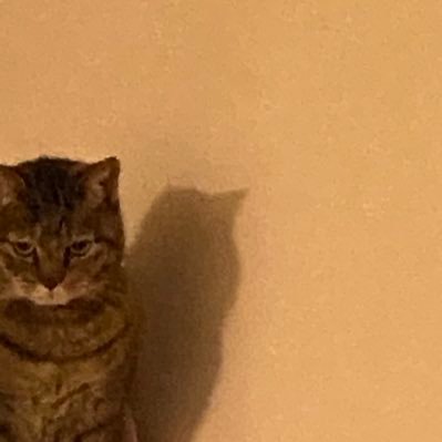 h_cnt58's profile picture. 