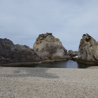 hgokv2ton6t's profile picture. 