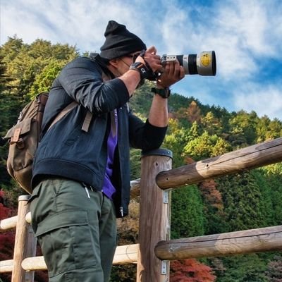 富士猫すぎにゃんฅ^•ω•^ฅさんのプロフィール画像