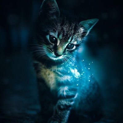 omsara1398's profile picture. 