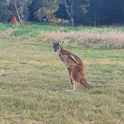 AndrewInWestAus's profile picture. Logical left leaning centrist. Atheist. Australian. Ba. Eng.

Former Labor voter. Former renter.

Critism of Labor is not an endorsement of the LNP.