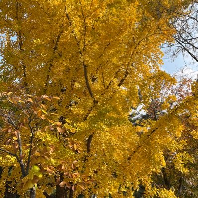 bageunbi9's profile picture. 