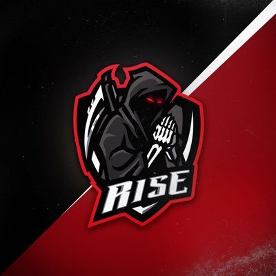 Professional ESports Organisation - All Members Followed - #RiseAbove