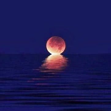 uludagenc's profile picture. 