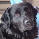 Crystal Blais - @firecracker44 - Twitter