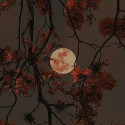 Yokekomo_code's profile picture. Estudiante en @BootcampOpen - Full Stack Developer
Cocinero intentando cocinar código