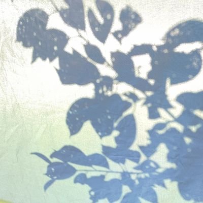 PETA_ENFI_100's profile picture. 