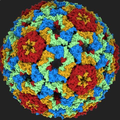 https://t.co/cbpZLxqIf5
https://t.co/N4LCrGUPox
Earth-Life Science Institute/Science Tokyo/Directed evolution/Origin of Life