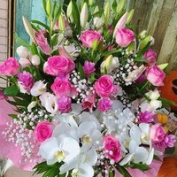 Mohammad Mohsin Ali Ripon (@mohsinripon1) 's Twitter Profile