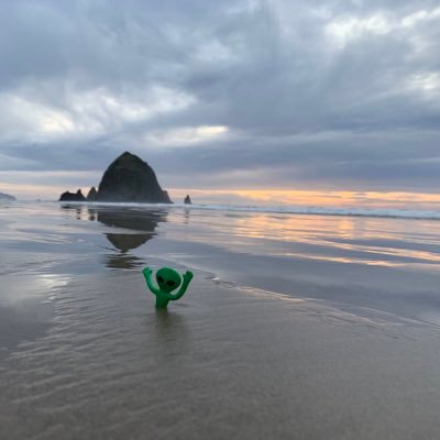 _tara__bee's profile picture. Soccer fan, be kind, go enjoy the outdoors.