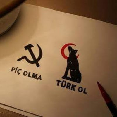 srknozcelik10's profile picture. 