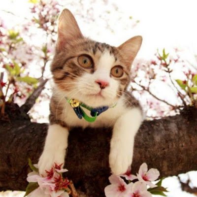 take31059421's profile picture. クルスタメインの人

主に星徒会縛り 誰かさんの影響でDef縛り ソフィア1人旅みたいなあまり人がやらなそうな縛りプレイをメインでやってます

ゲームのプレイ動画やスクショを上げています

質問等有ればクルスタプレイヤーの方は遠慮なく質問して頂いて大丈夫です

フォロワーも募集中