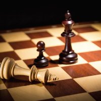 Excel Chess Academy (@chess4every1) 's Twitter Profile