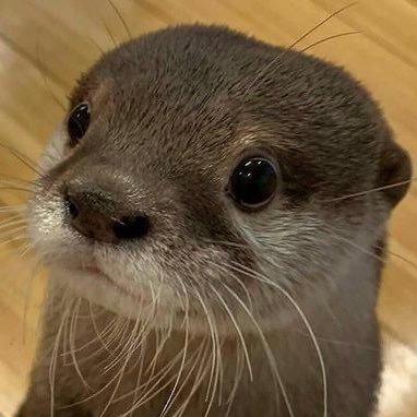 hihi_xuanxuan's profile picture. 