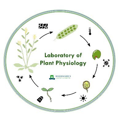 Studying how plants function and respond to changes in their environment @WUR. Account managed by @plantscifyi @lot_gommers @ParvinderKahlon.