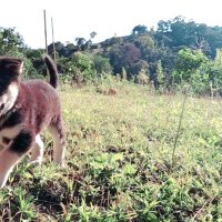 မၢဝ်ႇတႆး (@flhrxscxv1fvqxo) 's Twitter Profile