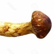 Hiro (@hiro06176834) Twitter profile photo