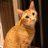 さいとー(いいね消える病発症中)のTwitterプロフィール画像