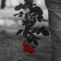 اااااااااا (@fwazmnswr2) Twitter profile photo